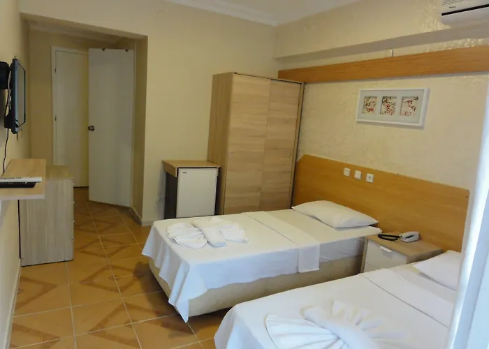 Altinersan Otel 3*