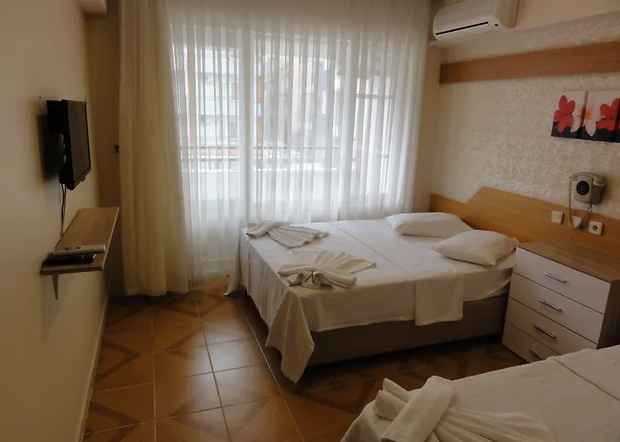 埃尔提纳逊酒店 3*